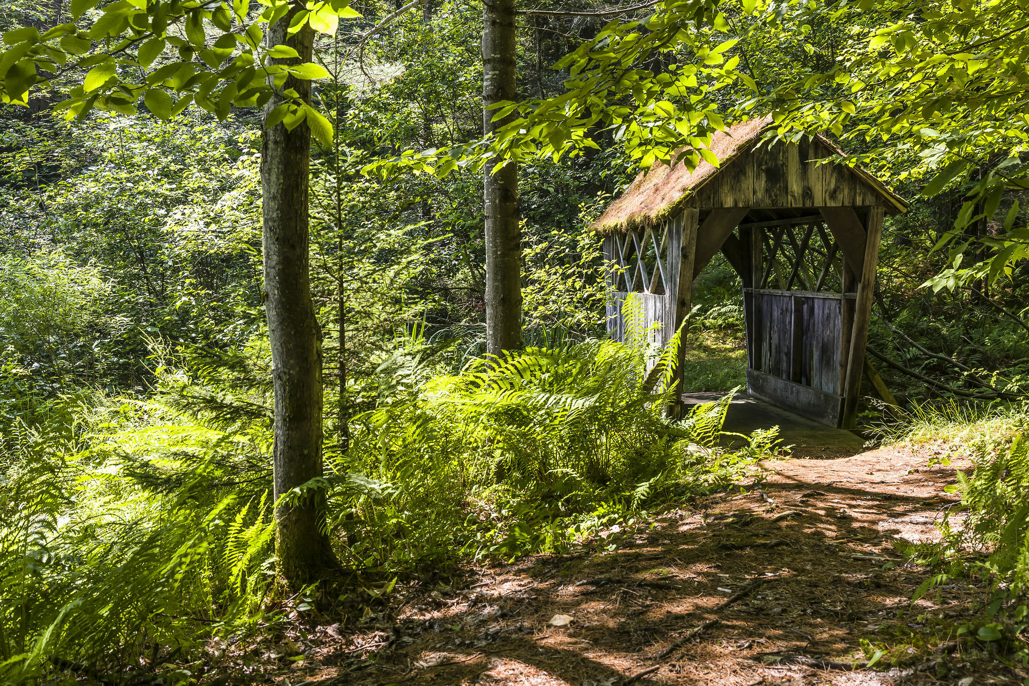 Bluebird Cady Hill Lodge ストー エクステリア 写真
